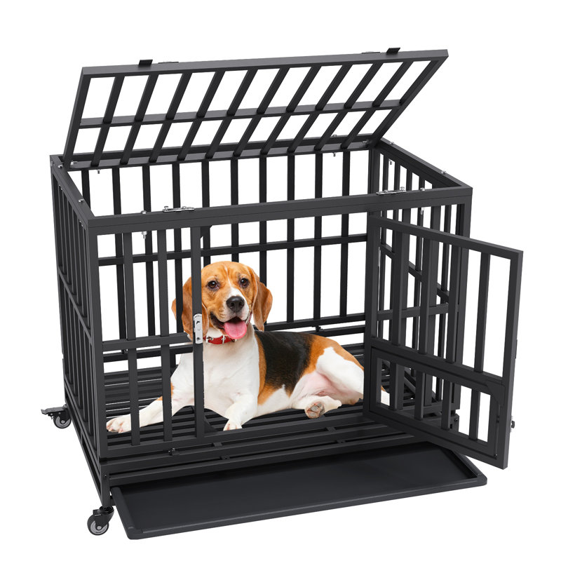 Caisse pour animaux Digno, H 31,9 po x l 37,4 po x P 25,6 po