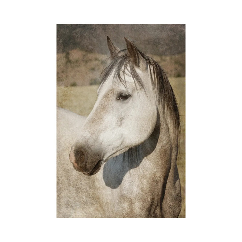 A Watchful Eye by Rhonda Thompson - Wrapped Canvas Gallery-Wrapped Canvas Giclée