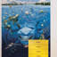 Nemo 1.84m x 254cm Wallpaper Roll
