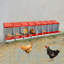 Boîtes à poulets à 8 compartiments avec œufs-1433434807