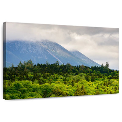 Alvord Mt. Katahdin Lush Forest