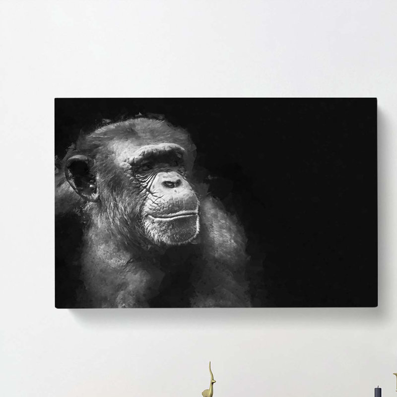 Ape in Abstract - Wrapped Canvas, 40cm H x 60cm W x 3cm D