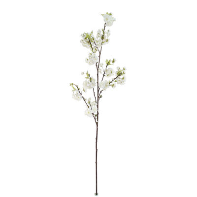 Cerisier en fleurs
