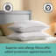 Sealy 2 Piece Anti Allergy Pillow (Set of 2)