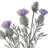 Plastic Irish Thistle Spray 21" 