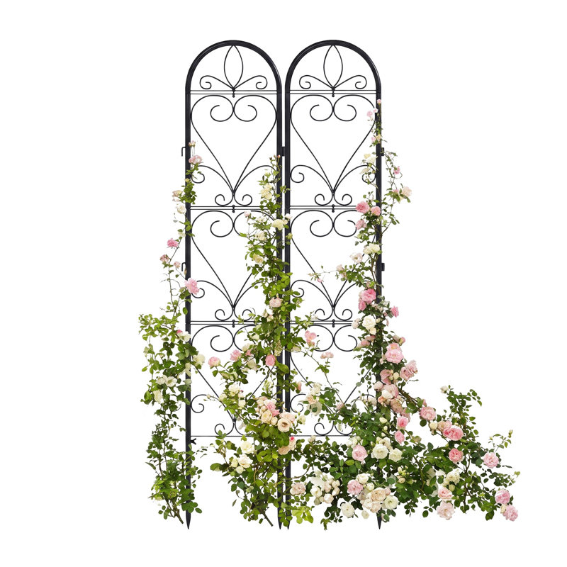 Ensemble de 2 treillis métalliques pour plantes grimpantes, 168 x 33 cm, noir