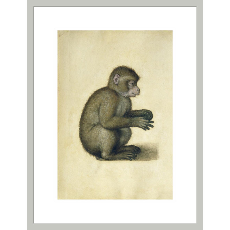 «A Monkey» par Albrecht Dürer, impression giclée sur cadre, H 21,75 po x l 16,65 po