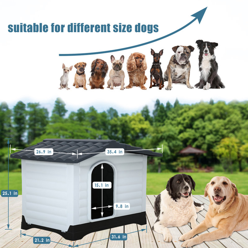 Large White and Black Plastic Raised Dog House