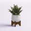 Eucalyptus artificiel 3,5 po en pot-684941050