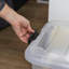 Rebrilliant Plastic Decorative Bin-653699505
