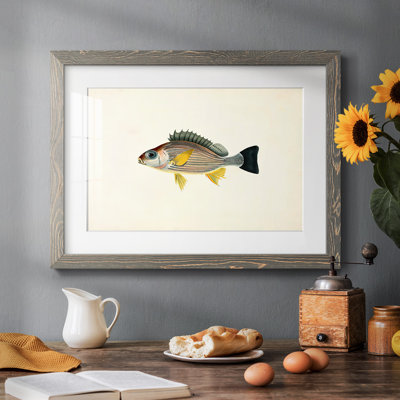 " Tropical Fish Collection III "