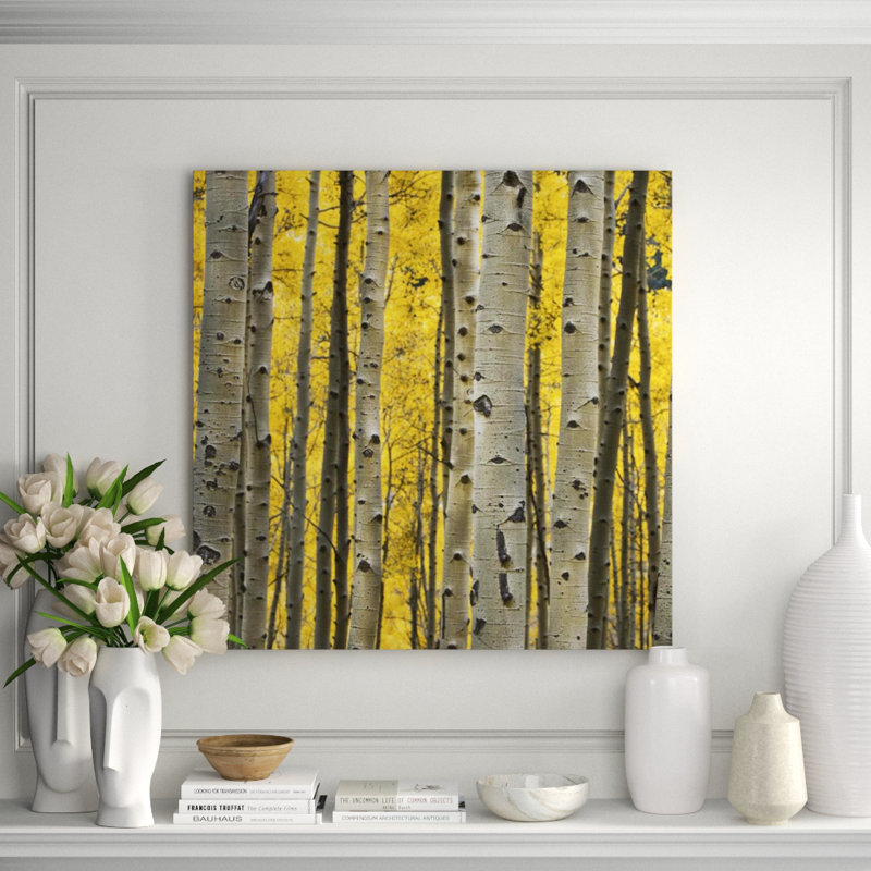 Aspen Trees III Print by Jamie Cook, 40" H x 40" W, Plexi