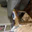 Customer photo 1 of 5