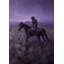 Purple Wanderer