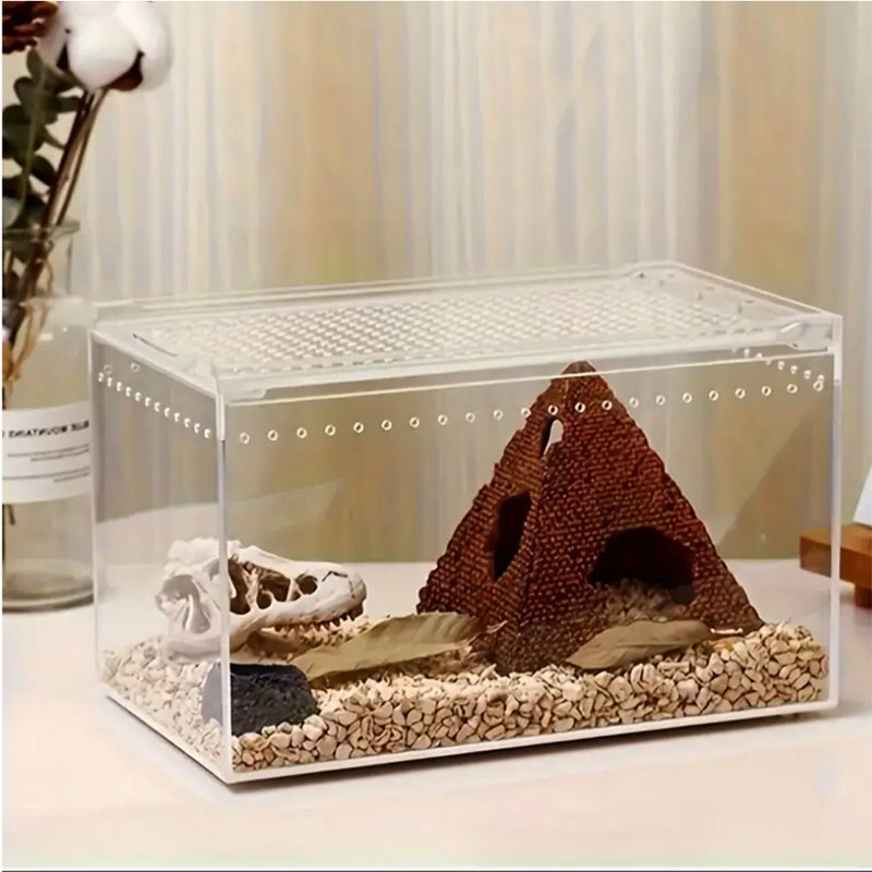 Terrarium acrylique transparent pour reptiles, avec couvercle coulissant, idéal pour gecko léopard, mygale et grenouille.
