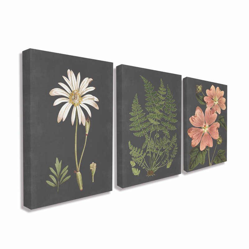 «Botanical Flowers Chalkboard Illustration», ensemble de 3 impressions, Toile tendue, H 20 po x l 16 po