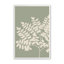 «Botanic Harmony In Sage», ensemble de 6 reproductions encadrées Botanic Harmony In Sage-94813896-94813897
