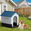 Niche en plastique pour chien-398262980-398262979