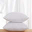 Bourrure de coussin de forme carré-320445559