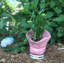 Statue de jardin grenouille crapaud-1458654444-1458654447