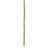 Larkspur Arrangement-971358707
