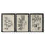 «Antique Black and White Botanical IV», ensemble de 3 peintures sur toile encadrées-508101472-508101476