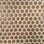 Calypso 11" x 11" Penny Round Mosaic Wall Tile