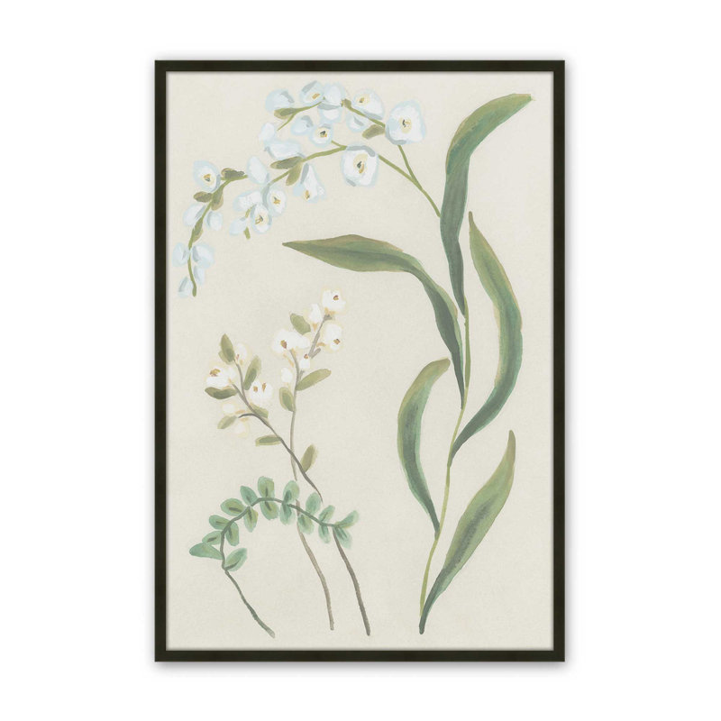 «Snowdrop Stems II» par June Erica Vess, reproduction d'art sur toile, H 24 po x l 18 po, Noir