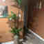 Photos des clients 1 de 1
