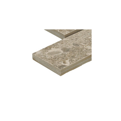 Itona Tile 2” x 4” Porcelain Brick-Joint Mosaic Tile (10 PC Per Carton) (9.60 SQFT Per Carton)