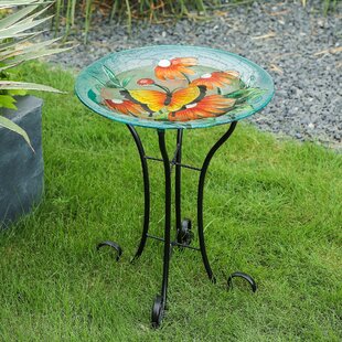 https://assets.wfcdn.com/im/67494384/resize-h310-w310%5Ecompr-r85/1398/139852401/aashni-glass-birdbath.jpg