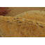 One-of-a-Kind 4' Hand Knotted Area Rug