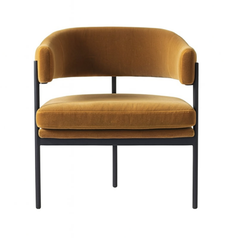 Darice Modernist Velvet Arm Chair