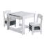 Amos Activity Table and 2 Storage Chair Set