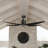 Ceiling Fan with LED Lights