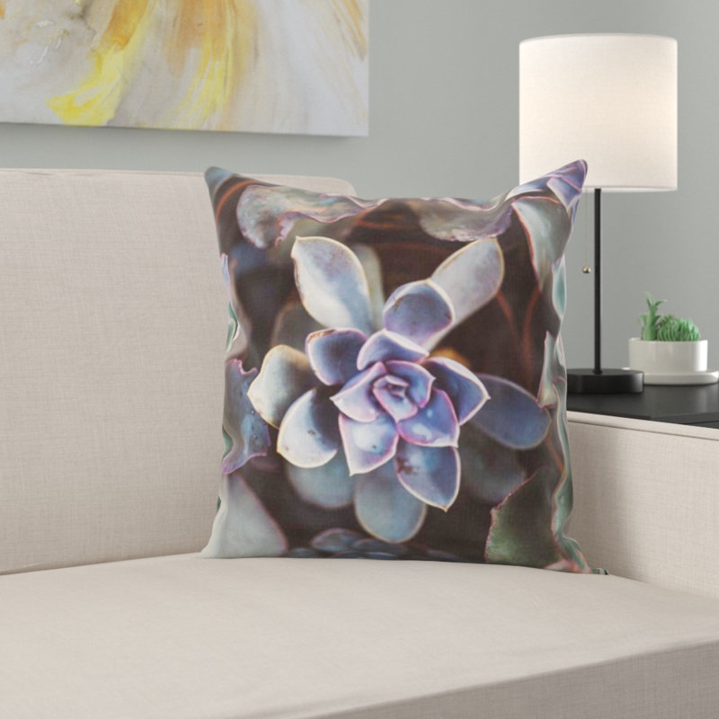 Coussin succulent