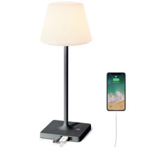 https://assets.wfcdn.com/im/67495406/resize-h210-w210%5Ecompr-r85/2342/234222103/Criscia+Metal+USB+Desk+Lamp.jpg