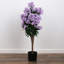 Lilas en pot - moyen-1640272737