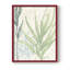 «Swaying Seagrass I», reproduction encadrée - bois massif-56917538-56917539