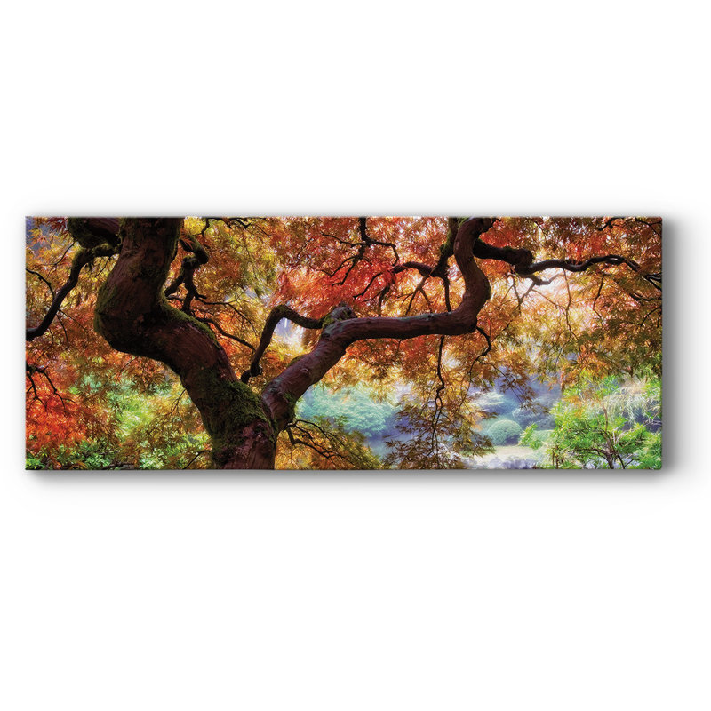 «Dreaming of March» sur impression sur toile, H 20 po x l 50 po x P 1,5 po
