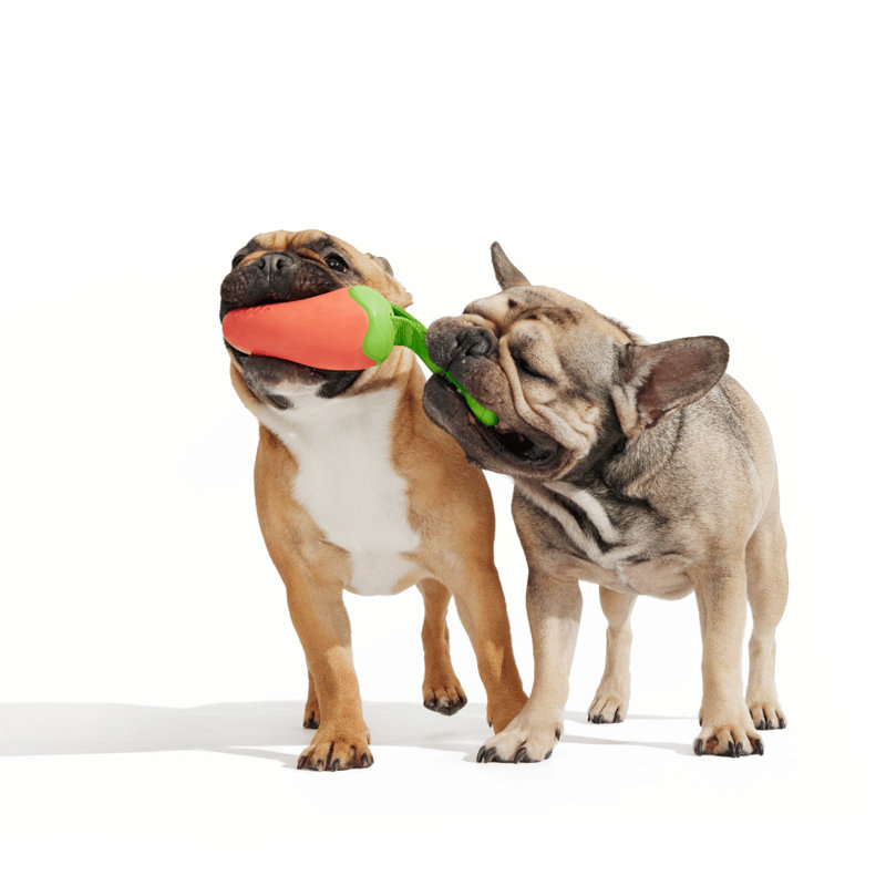 The Best Of Bark Super Chewer Accessories