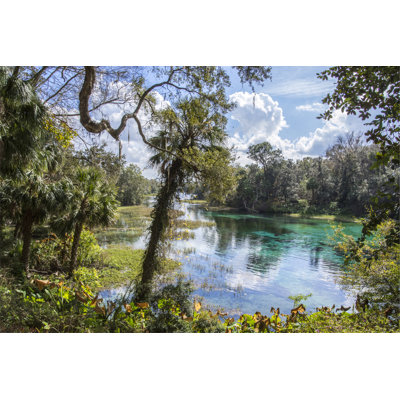 Rainbow Springs - Wrapped Canvas Print