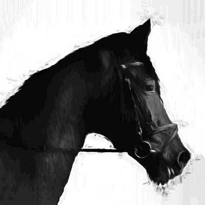 Peinture de profil de cheval