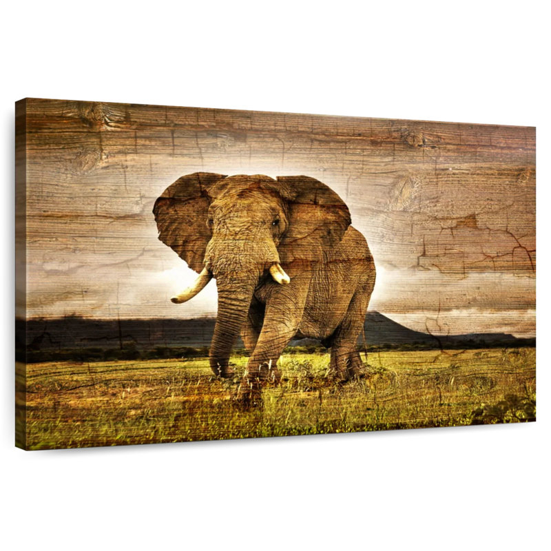 Brampt Wooden Texture Elephant