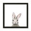 Art encadré en lapins forestières-48188936-48188939