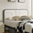Nelsie Upholstered Platform Bed with Velvet Tufted Headboard-1002191325-996180399
