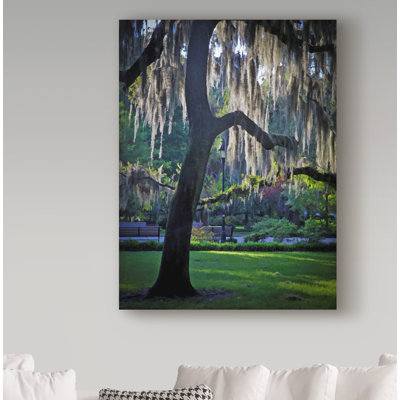 Garv 'Forsyth Pk, Savannah' Photographic Print on Wrapped Canvas