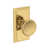 Lifetime (PVD) Polished Brass selected