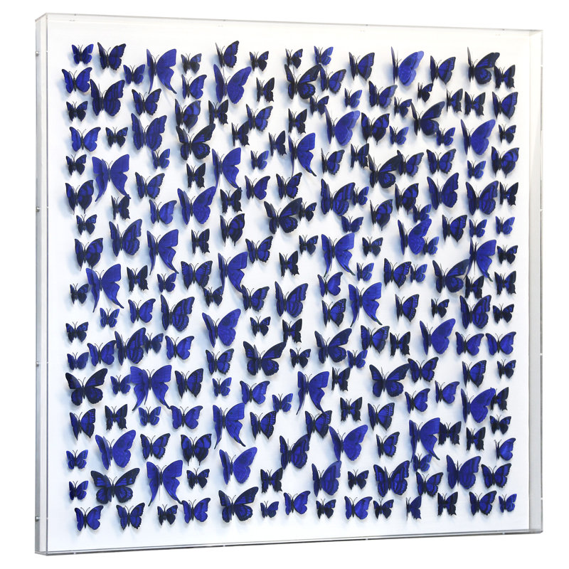 Papillon III, art encadré en PVC, papillon de 3 pouces