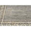 Hand Knotted Area Rug in Beige/Gray